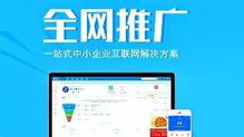企業(yè)全網(wǎng)營銷全攻略 借助互聯(lián)網(wǎng)實(shí)現(xiàn)高效客戶引流與網(wǎng)絡(luò)推廣